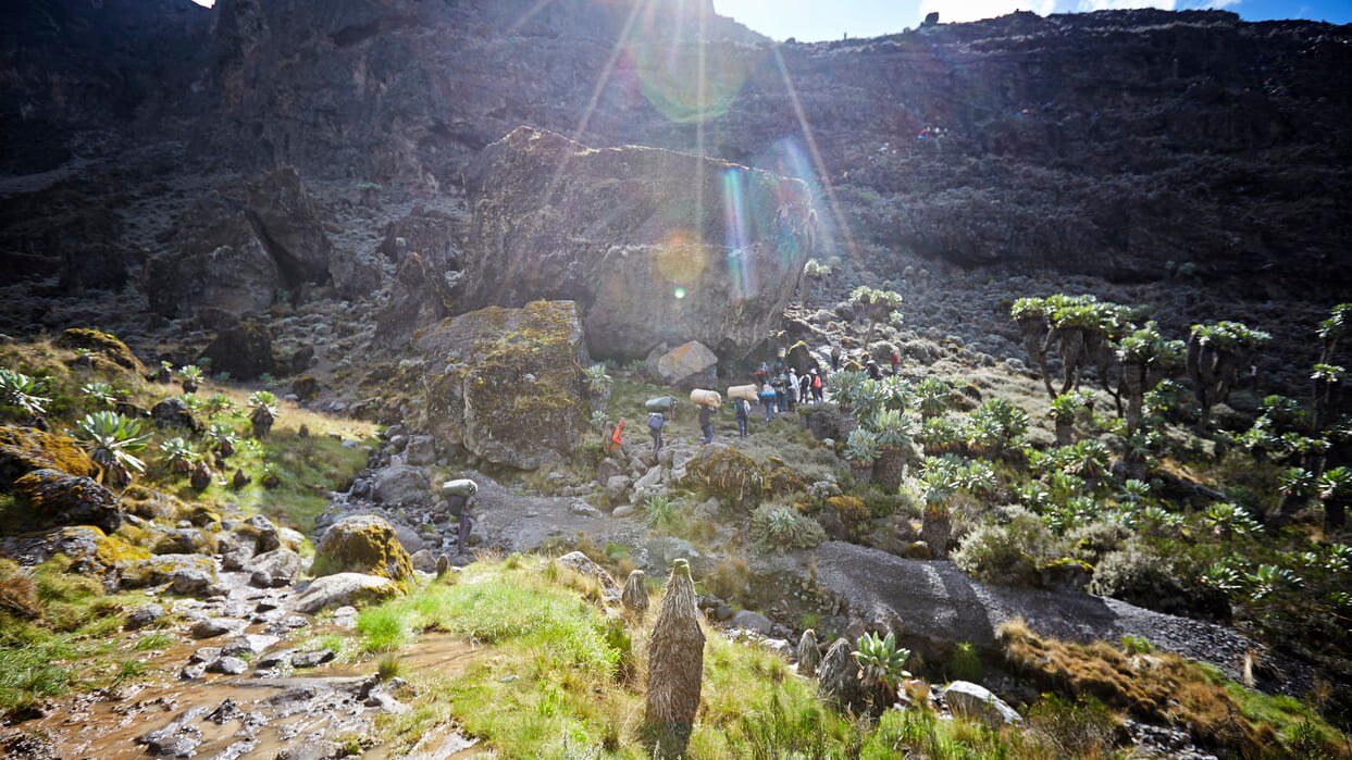 キリマンジャロ：タンザニアのユニークな美しさ