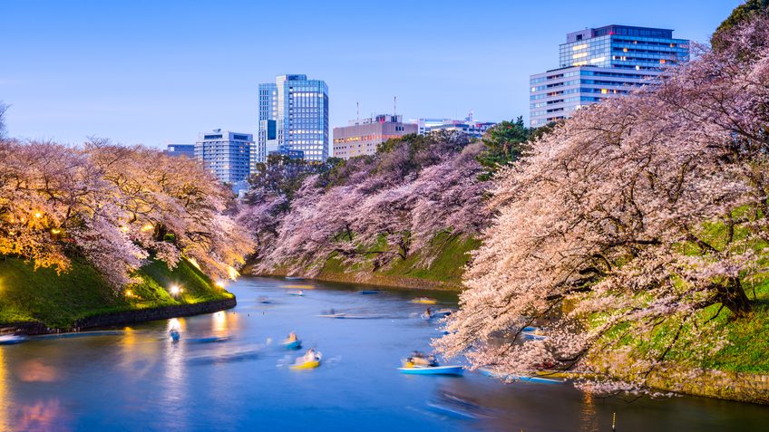 皇帝の故郷のje下に訪れましょう：10帝国宮殿の周りの推奨観光スポット