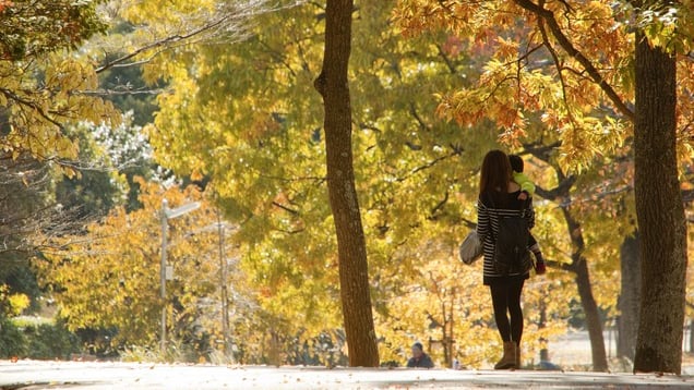 Ageoには、子供と遊ぶことができる施設がたくさんあります！ Ageoの11の観光スポット