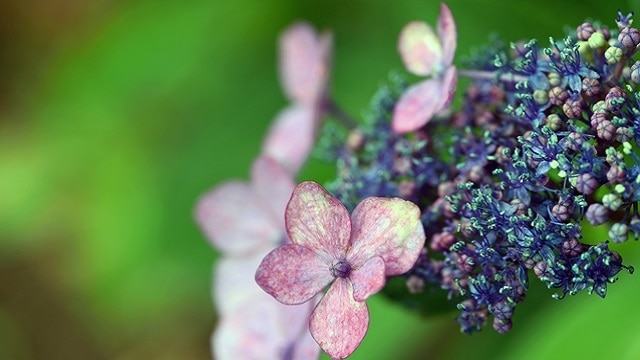 満足のいく雨の日の訪問のためのクマモトの8人の人気観光スポット