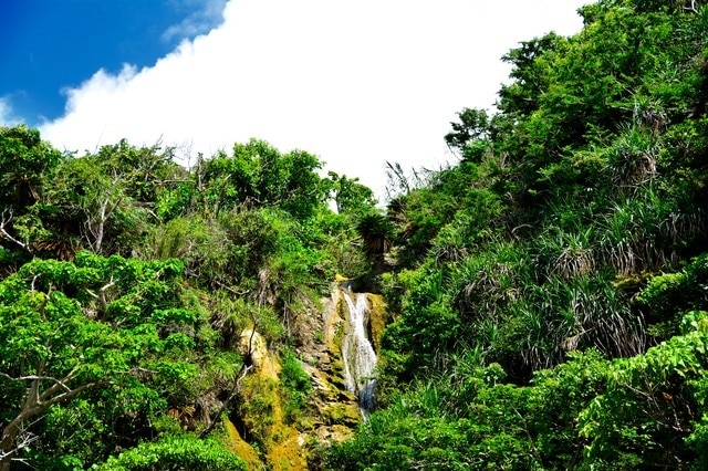 Daeguimuraの6癒しの観光スポット！リラックスして、豊かな自然の中で時間を過ごしてください