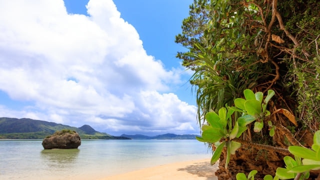 歴史や文化から息をのむような景色や素晴らしい人物まで！ 13の隠された観光スポットは、石川島を完全に楽しむためです