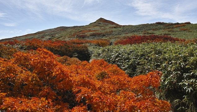 ヤマガタとガッサン山で観光のための5つの必見のスポット！
