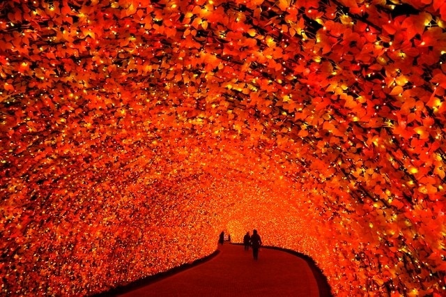 クワナ市：名古屋からわずか30分の観光地！トップ10の必見のアトラクション