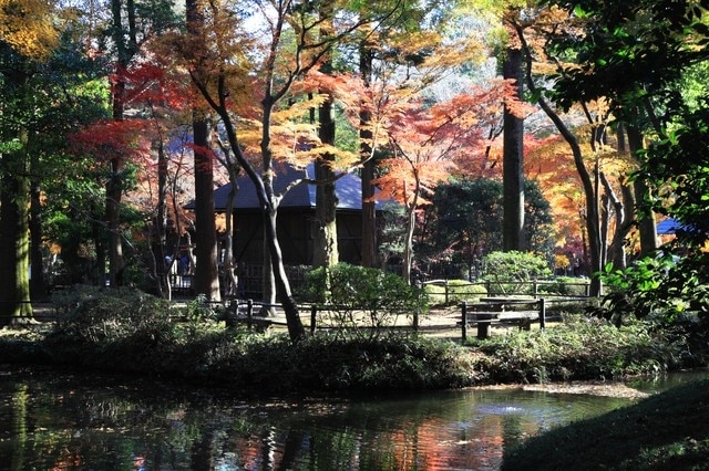 簡単に服用して観光を楽しみたい場合は、ニザに向かいましょう！ 15推奨観光スポット