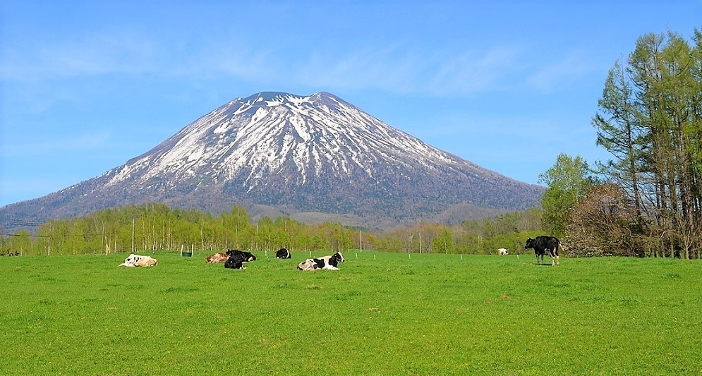 あなたの子供とニセコを楽しんでみましょう！素晴らしいアウトドアを完全に体験する6つの観光スポット
