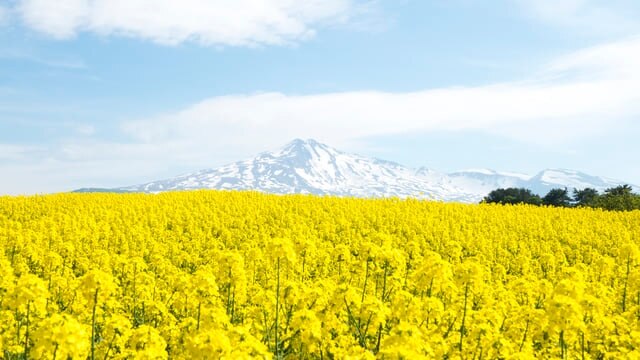 4シーズンすべての美しさを体験してください！ 6アキタの聖カイにある必見の観光スポット