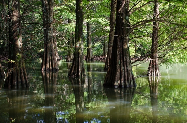 ササグリの町で観光に推奨されるスポット！偉大なアウトドアを通る癒しと精神的な旅