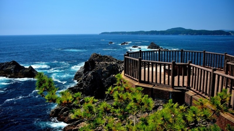 11都市で最高の観光名所！見事な自然と新鮮なシーフードをお楽しみください