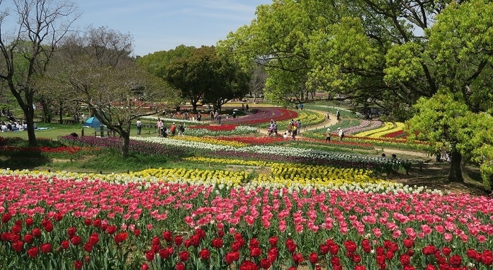 大阪の博覧会記念公園の14の必見の観光スポット