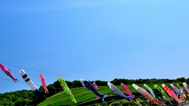 神秘的な光景でいっぱい！ 10オイタ県の米国市の10人の必見の観光スポット