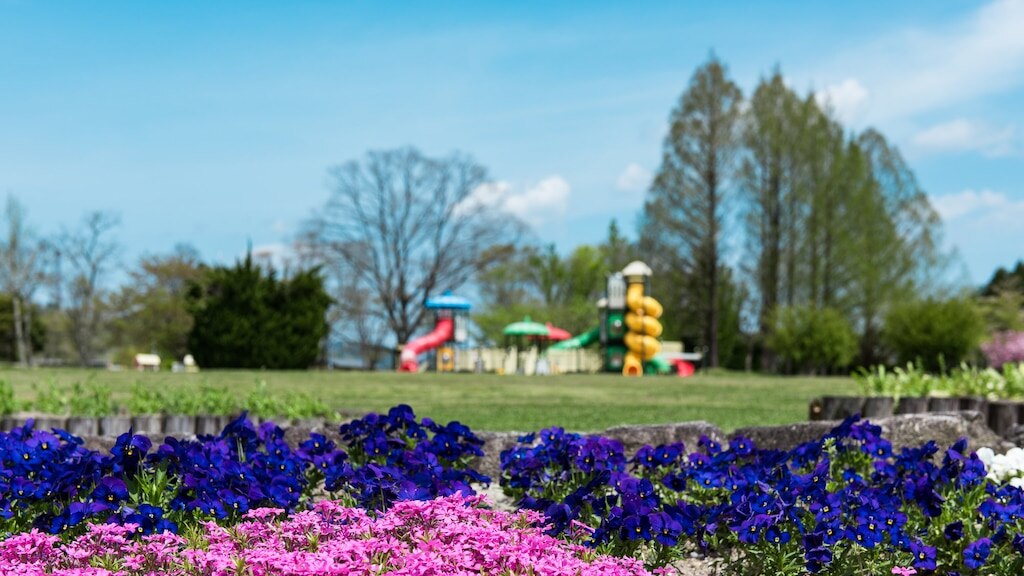 京都市からわずか1時間の緑豊かな緑の目的地である京都の町にある8つの推奨観光スポット