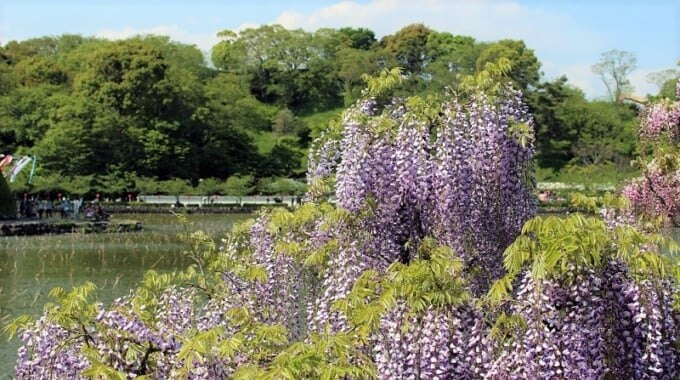 藤田市の12人の必見の観光スポット！サッカーで有名な町で自然と歴史を楽しむ