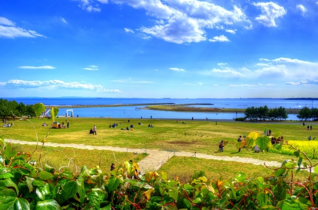 次の休日のためにカサイ観光を決めてください！トップ10の人気スポット