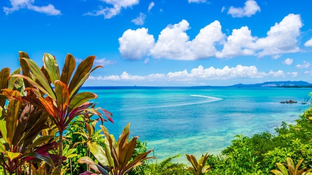 9 Onna Villageの必見の観光スポットは、単なるマリンスポーツ以上のものです！