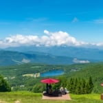 20年、長野県のテメシナでの推奨観光スポット！すべての季節をお楽しみください