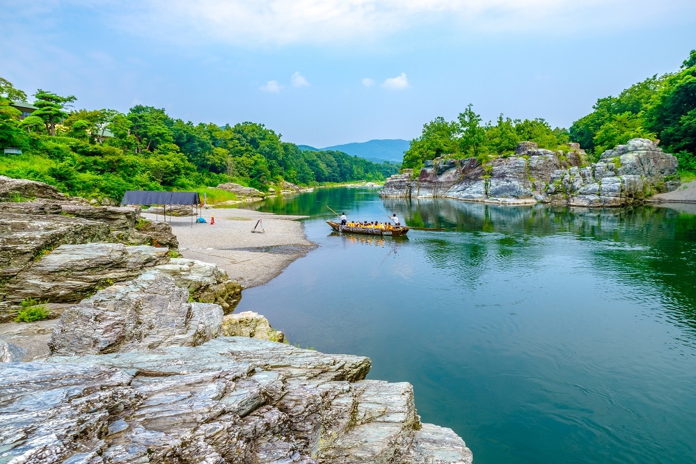東京の北部の隣人である桜の一番の観光スポット