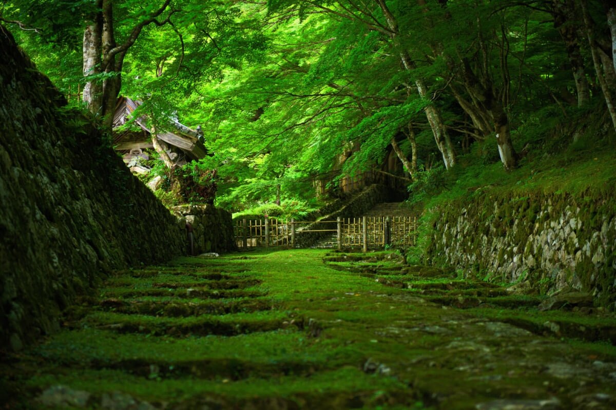 ヒガシオミ市の10の推奨観光スポット。街の豊かな歴史と文化をお楽しみください