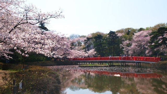 7つの推奨される観光スポットは、岩toki！聖田市の大都から「人形の町」までのわずか1つの停留所