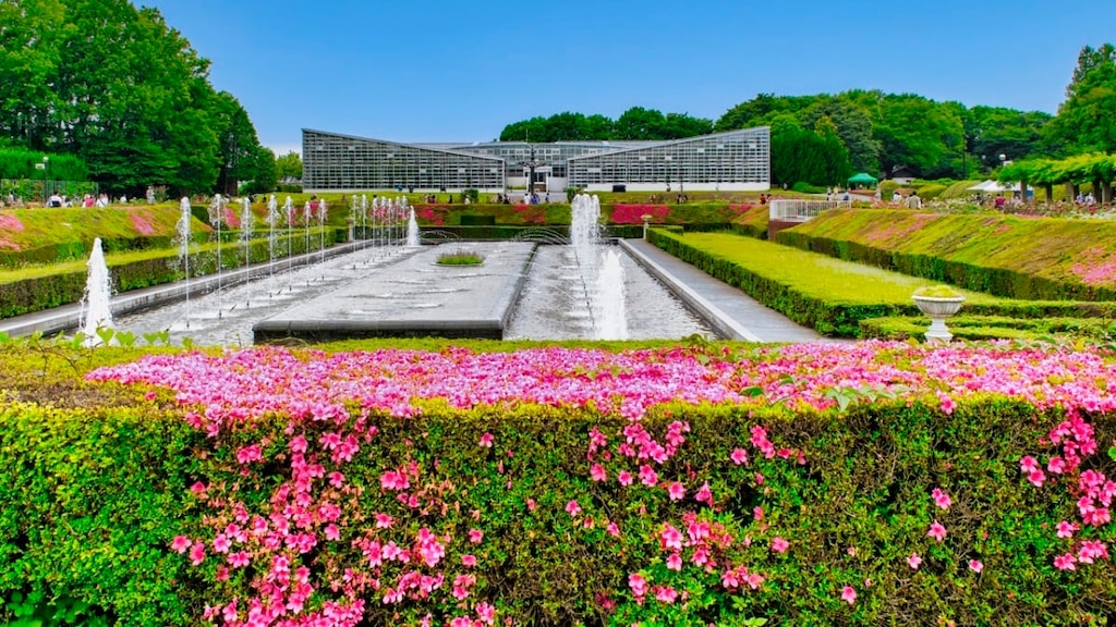 あなたが知らないかもしれない鶏小田の21観光スポット