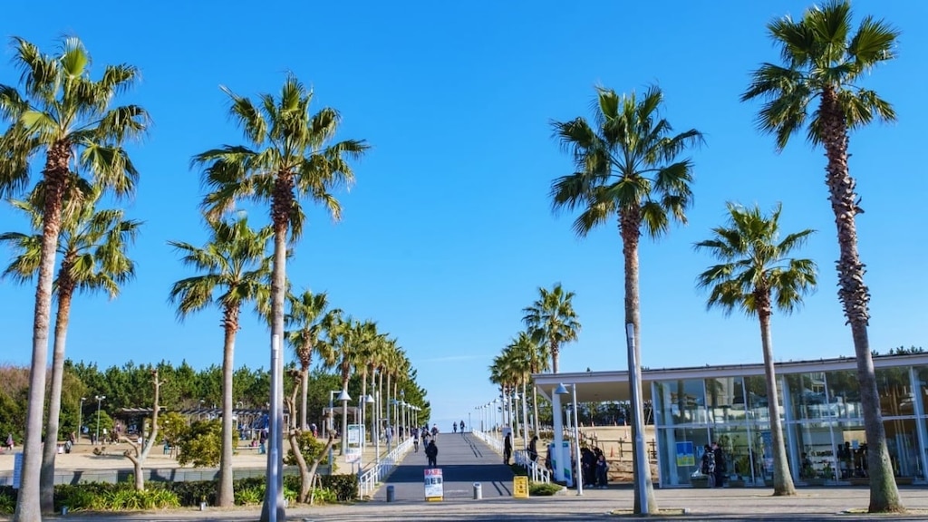 ウラヤスの10人の観光スポット：ベイエリアを楽しむ場所！