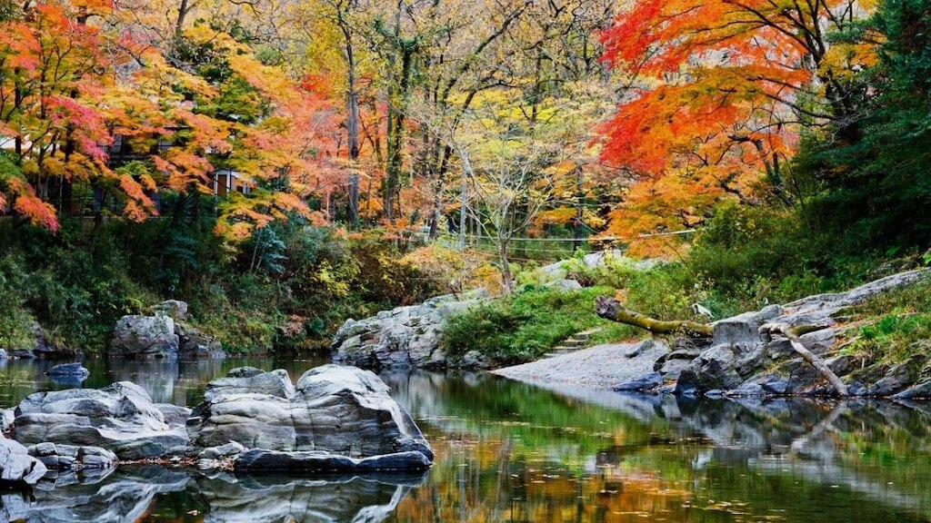 7竜山の町の観光スポット、桜佐藤でも街の雰囲気を楽しむことができます