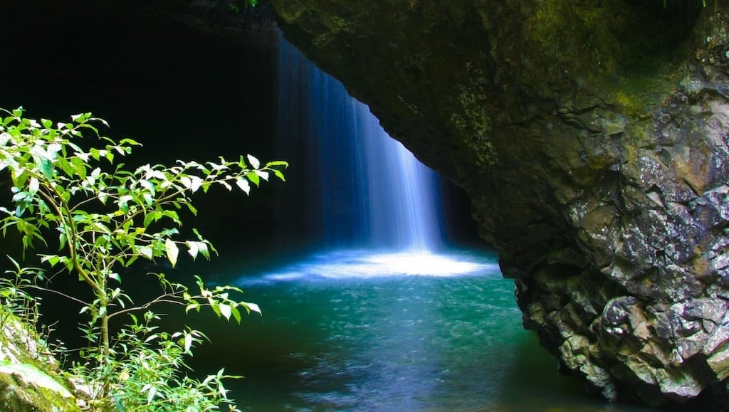スプリングブルック国立公園への完全な観光ガイド：徒歩で景色を眺める方法と自然を楽しむ方法