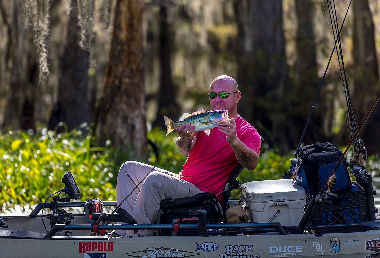 比類のない親しみやすさのある7ルイジアナの小さな町