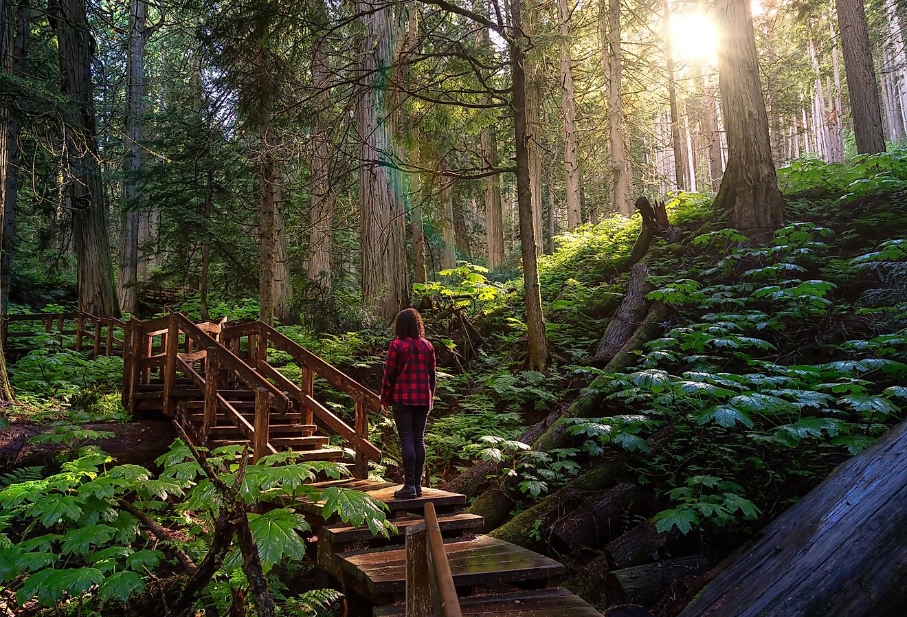 2025年のブリティッシュコロンビア州で最もかわいい小さな町