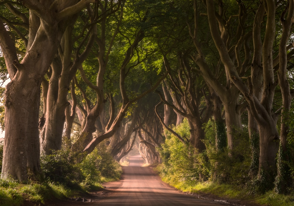 ゲームオブスローンズの最後のシーズンの準備はできましたか？これが、最も美しい撮影場所のまとめです