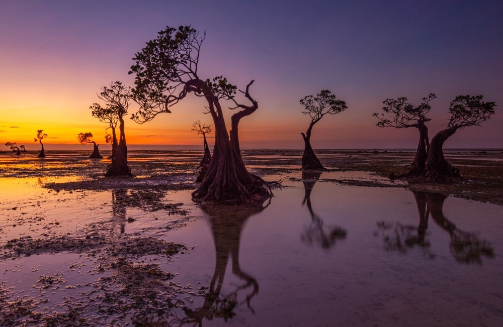 あなたが今まで聞いたことがないアジアの11の信じられないほどの場所