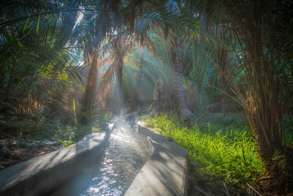 ドバイからの5つの信じられないほどの日帰り旅行