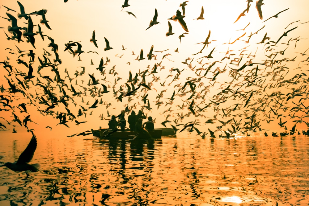 ニューデリーとその周辺の6つのインスタにふさわしい場所