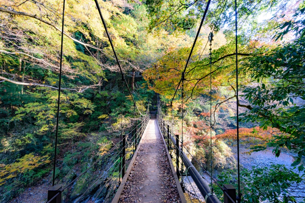 7つの美しい風光明媚な斑点と自然が東京で逃げます