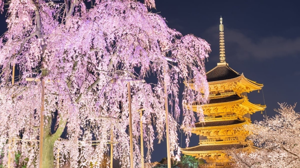 京都で慎重に選択された推奨観光スポット！地域ごとに人気のあるアトラクションを紹介します