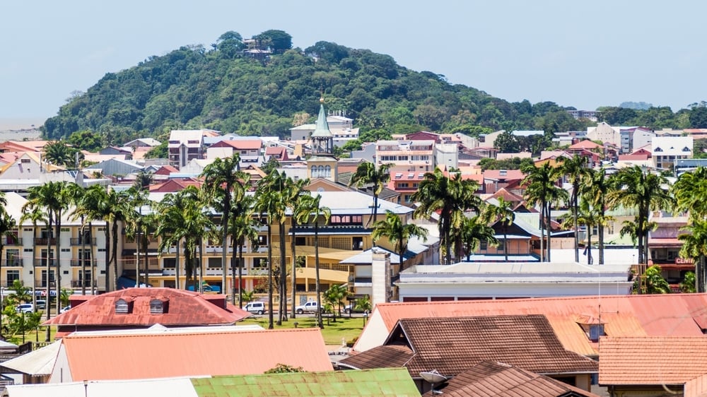 フランスのギアナ：ベビーレザーバックのカメで観光客を惹きつけるフランスの部門