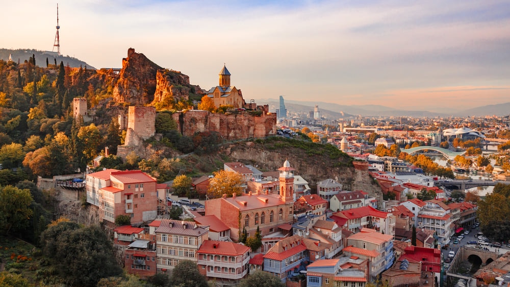 ジョージア：谷に広大なワインのブドウ園と山が並んでいます