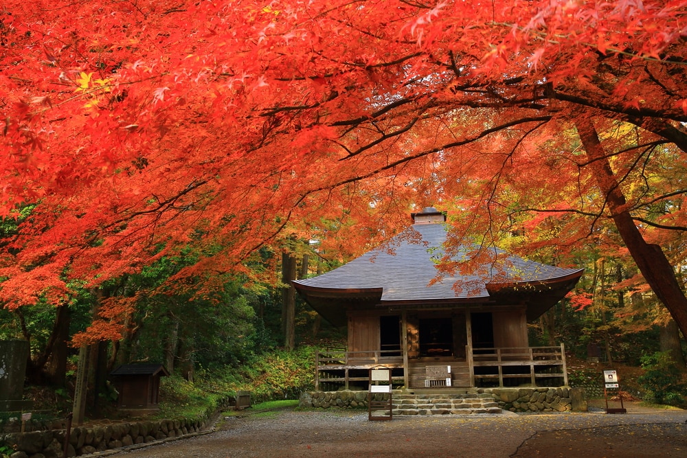 日本の北部の首都、仙台から撮影するための信じられないほどの日帰り旅行