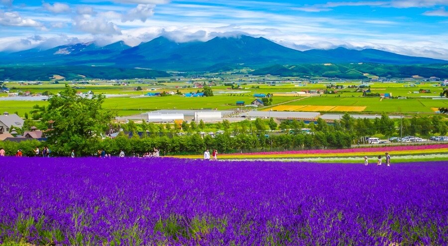 フラーノの27人の観光スポット：素晴らしいアウトドアを完全に楽しむための旅に出かける