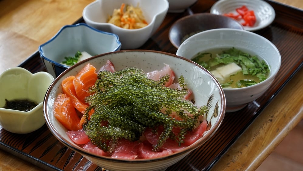 13カラウミ水族館の周りで食事をするために推奨されるグルメスポット