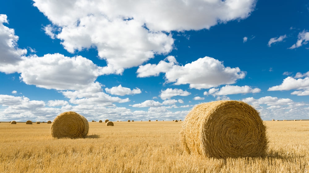 グラスゴー（モンタナ）：モンタナに隠れていた小さな天国