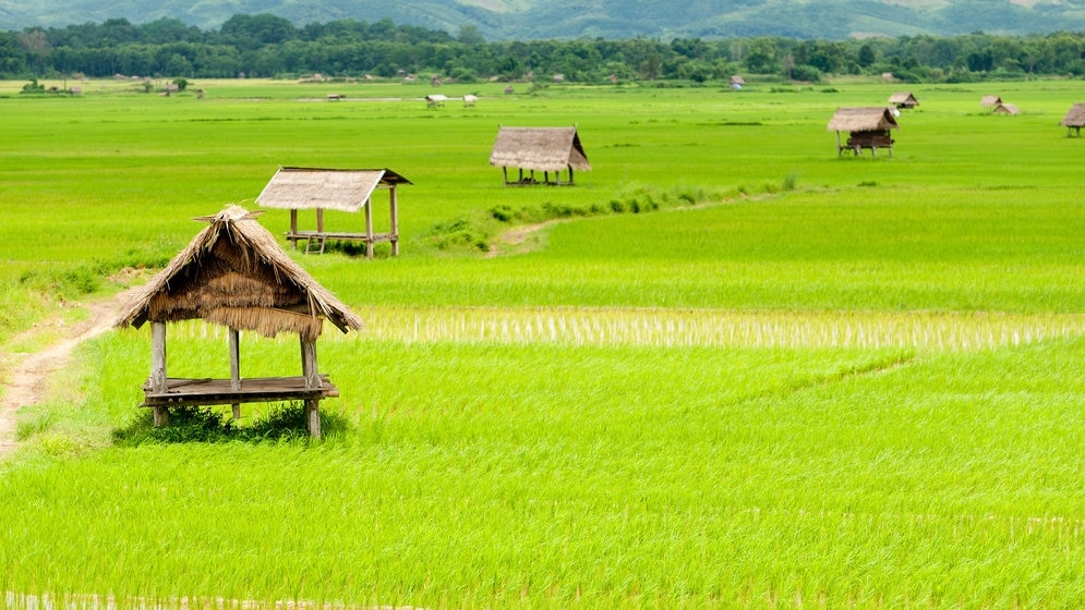 ラオス北部の隠された宝石であるルアン・ナムタにあるトップ5の必見のアトラクション！