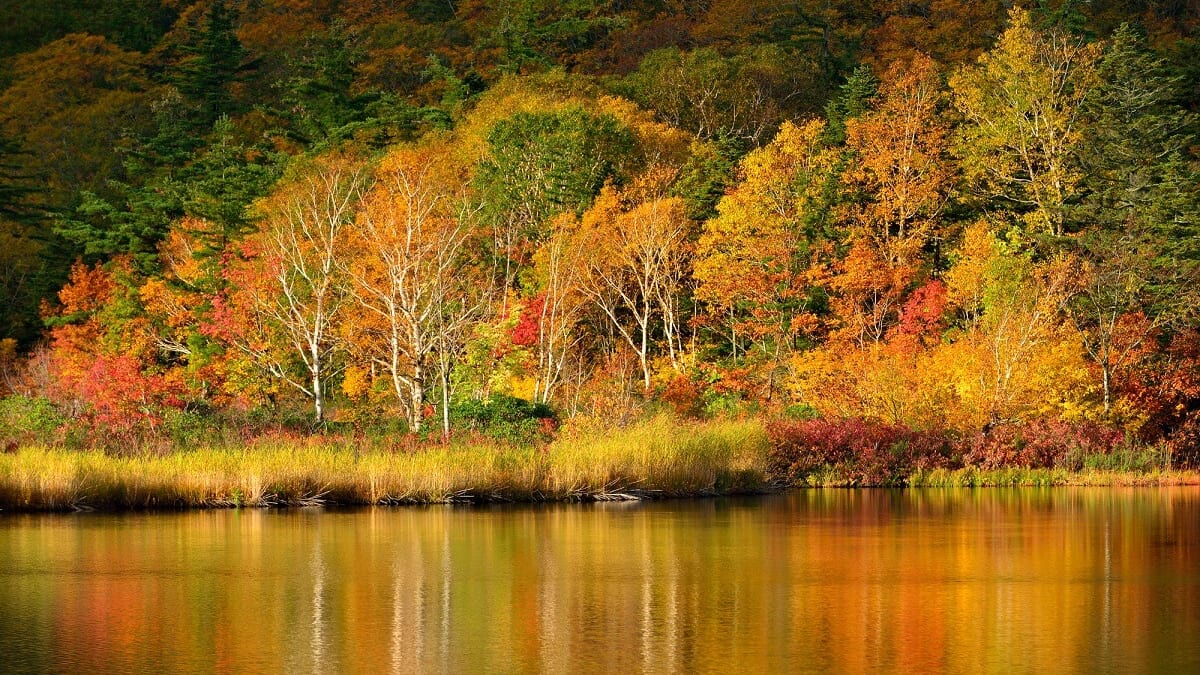 13アキタ、カズノ市にある必見の観光名所