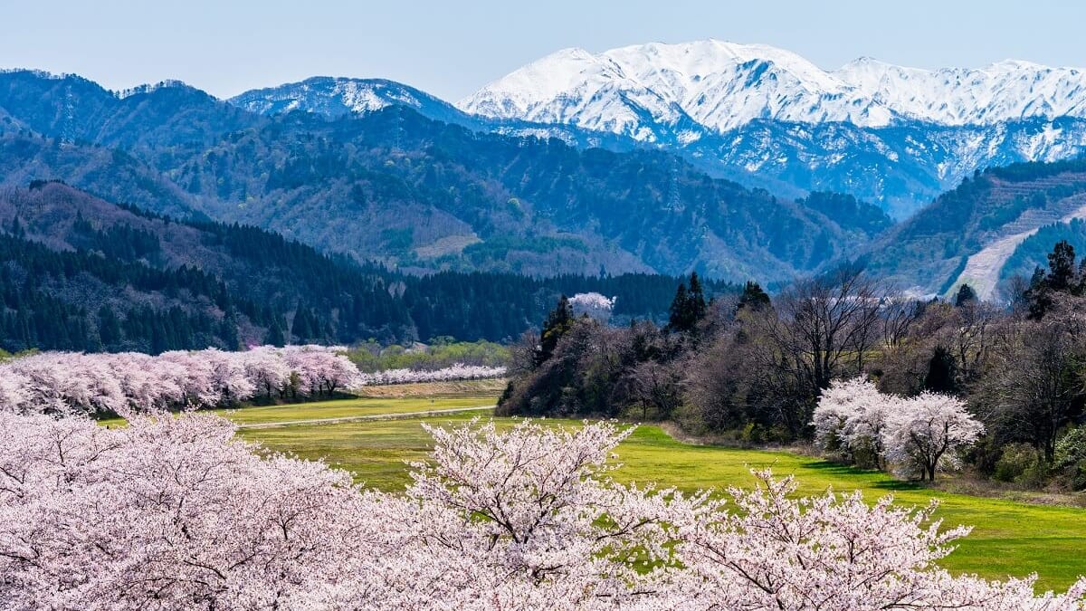 自然が生き生きとする町！ 5県のタイナイ市にある5つの推奨観光スポット！