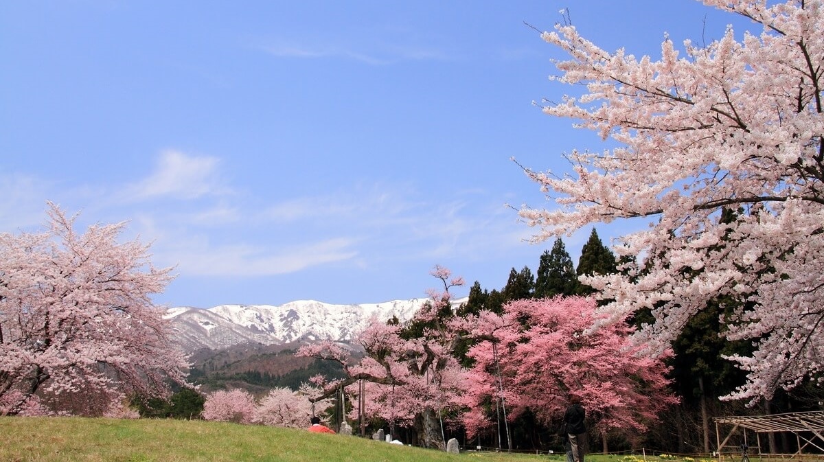 魅力に満ちています！ 5ヤマガタ県のシラタカの町にある5つの観光スポットを参照してください