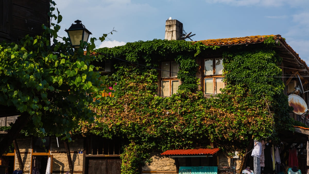 バラ、ヨーグルト、ワインが待っています！ブルガリアの9つのユネスコの世界遺産