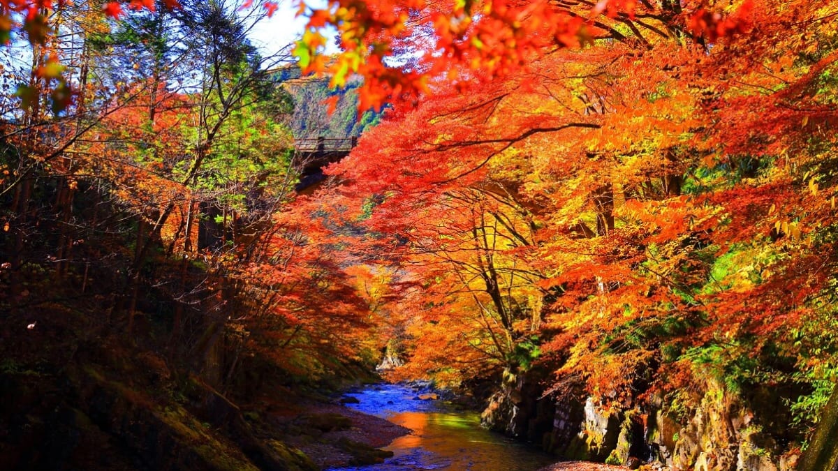 癒しとエネルギーであなたの心と体を充電してください！カヌマ市の11人の人気観光スポット