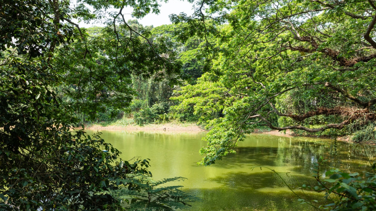 インドの南端近くのティルヴァナンタプラムにあるトップ10の必見の観光名所！