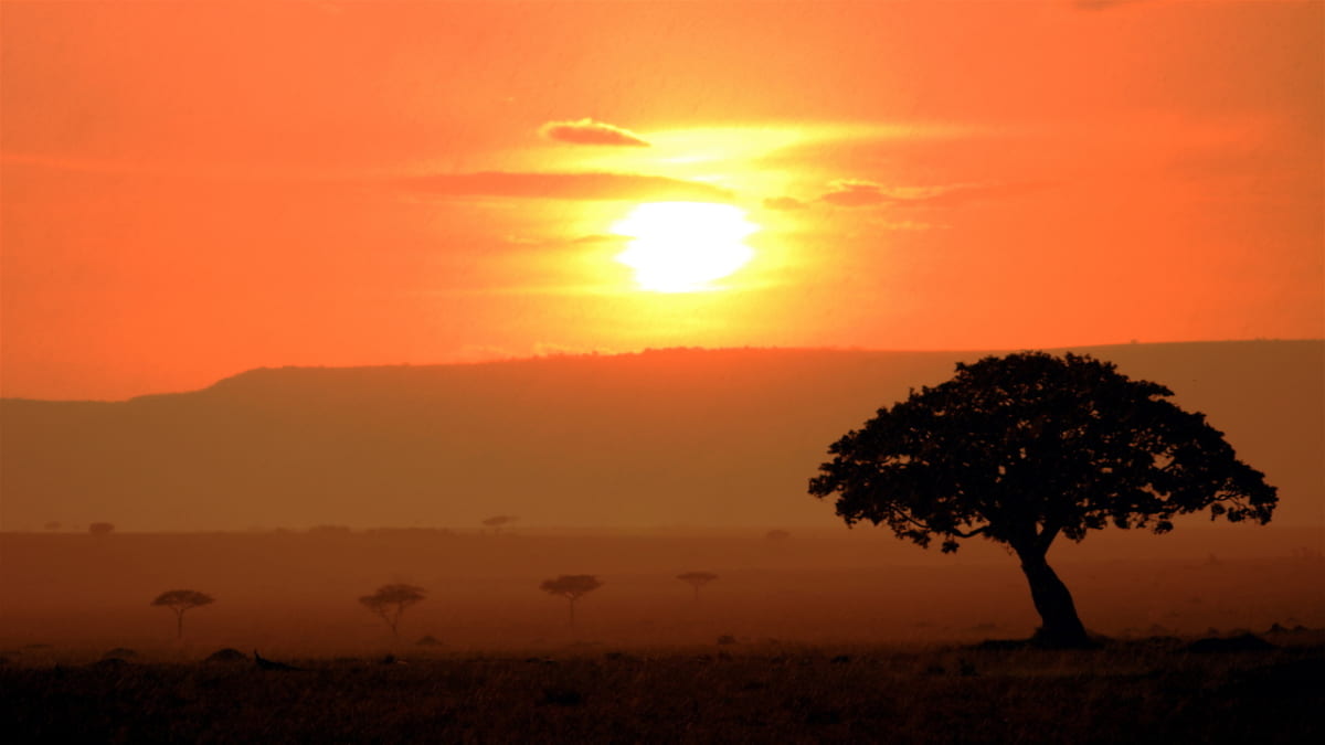 美しい自然と野生生物が待っています！ケニアの5つの推奨観光スポット