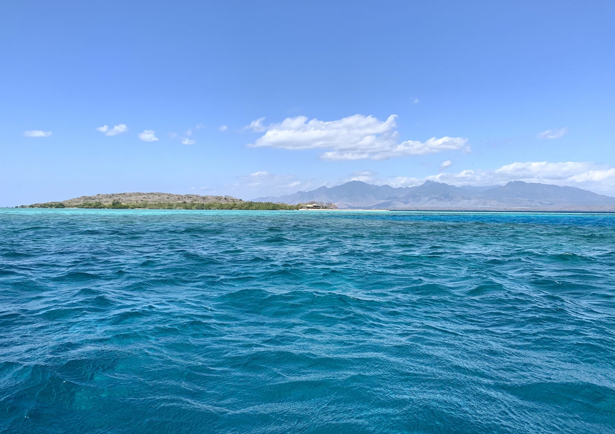 エーリッヒ・ウェグシェイダーによるバリの美しさ